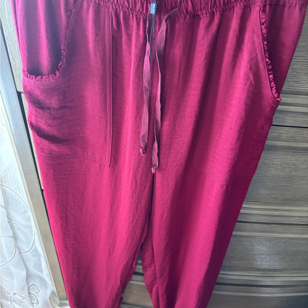 Cranberry/maroon Drawstring Pants